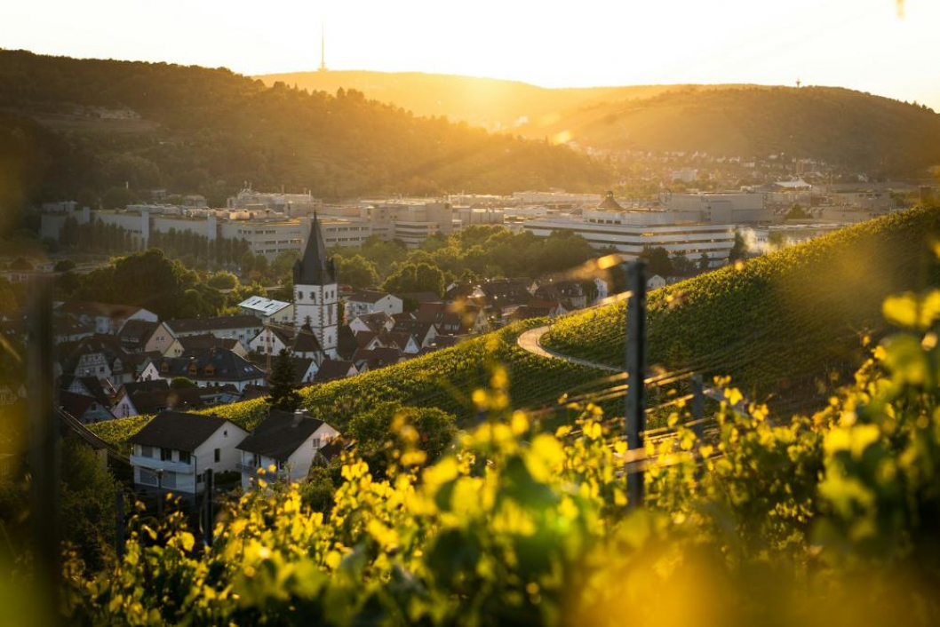 Elektroschrott Entsorgung Esslingen am Neckar